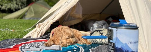 Ein umfassender Leitfaden: Herbstaktivitäten für Wanderungen mit Ihrem Hund - Firemaplegear.de